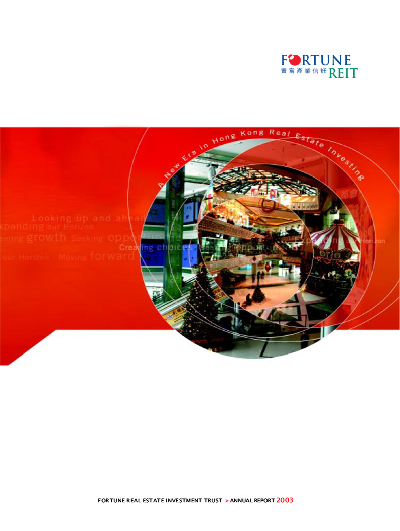 Annual Report 2003